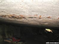 Imagine atasata: 25.03.2014 31-2.jpg